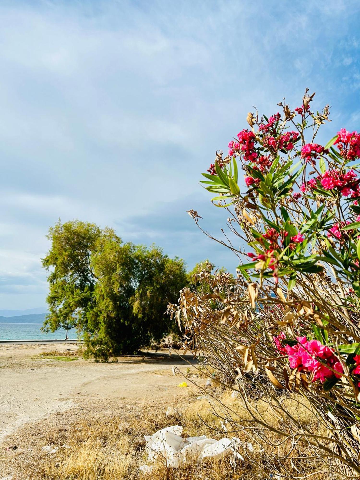 Marina'S Seacret Apartment Corinth المظهر الخارجي الصورة